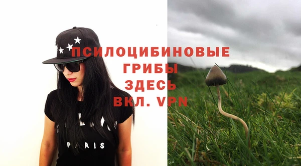 таблы Дмитровск