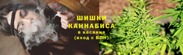 СК Дмитриев