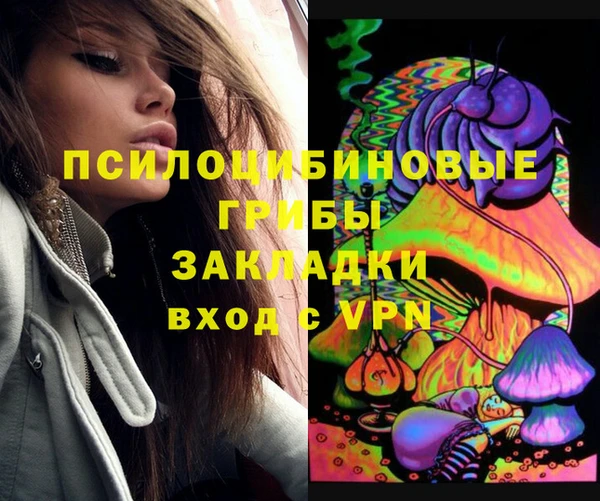 таблы Дмитровск