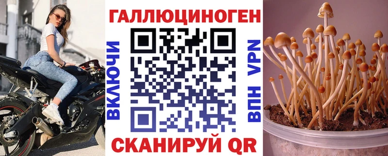 Купить закладки  Бор  Галлюциногенные грибы MAGIC MUSHROOMS 